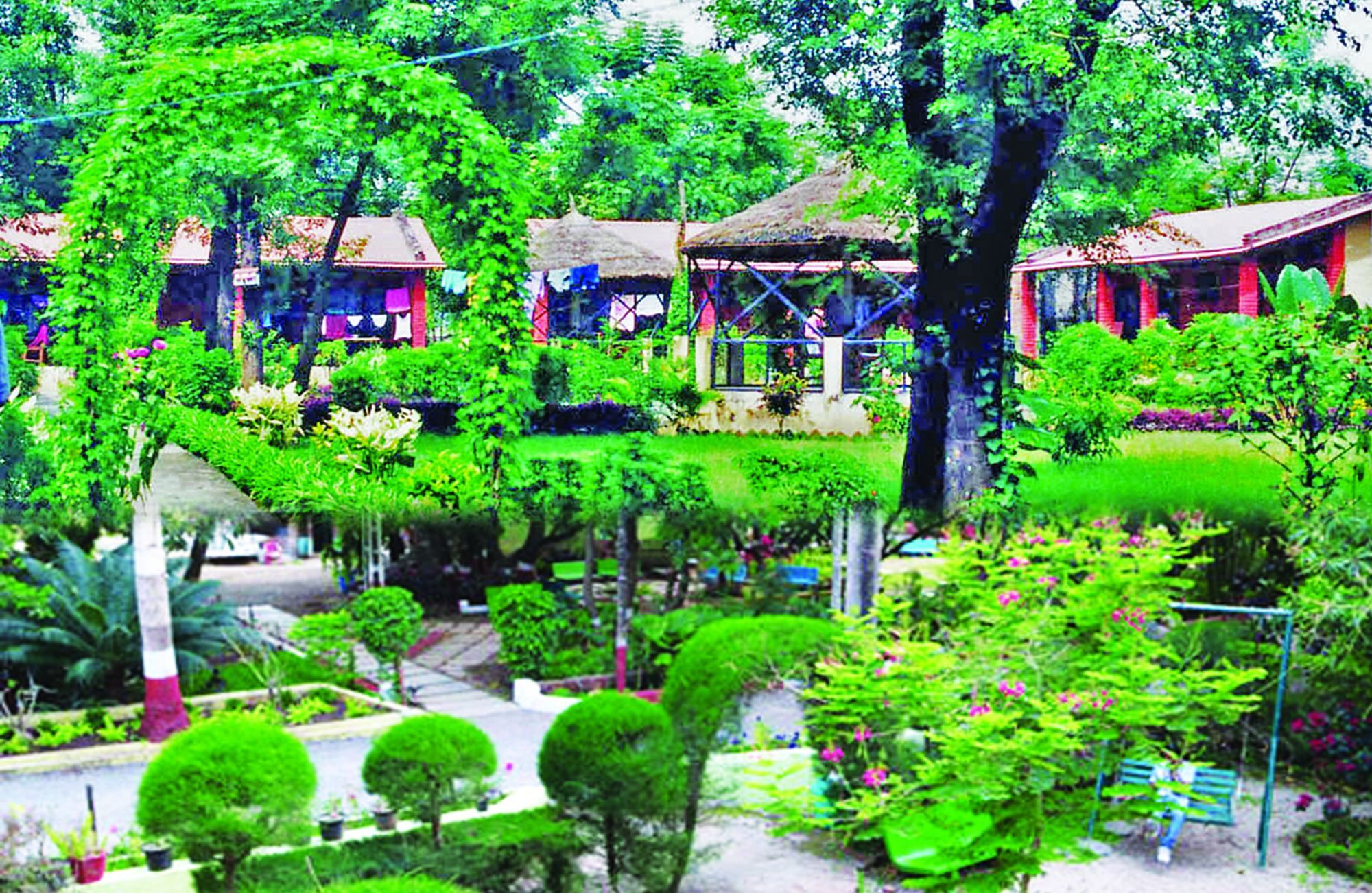 Rainbow Safari Resort Sauraha Extérieur photo